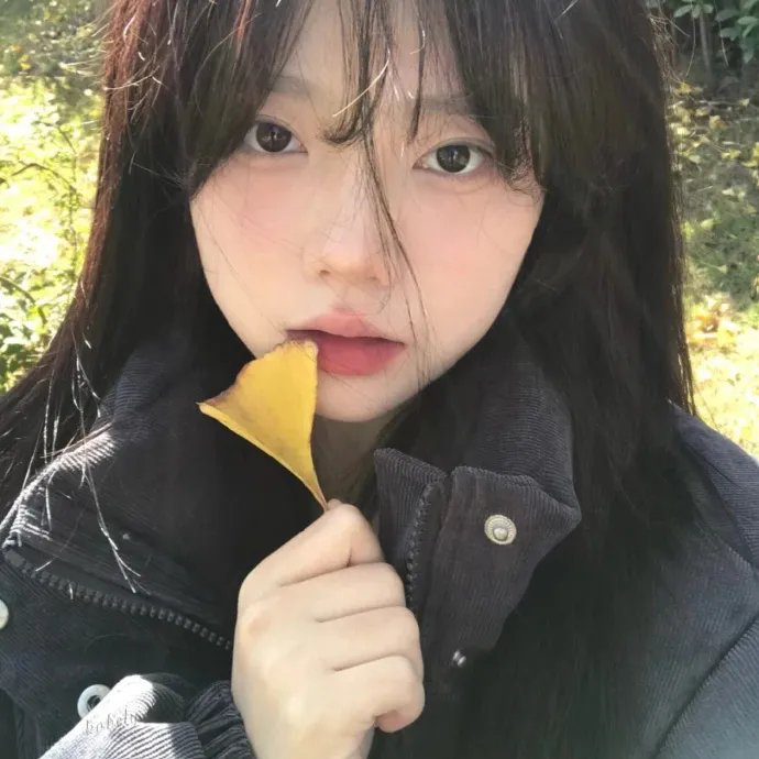 脂粉拳王
